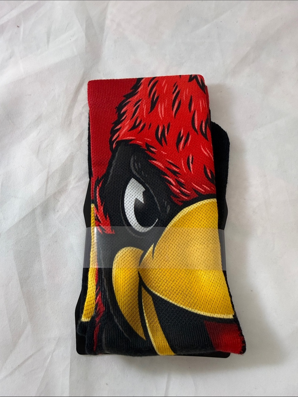 University of Louisville Cardinals